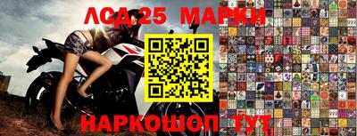 стаф Обнинск